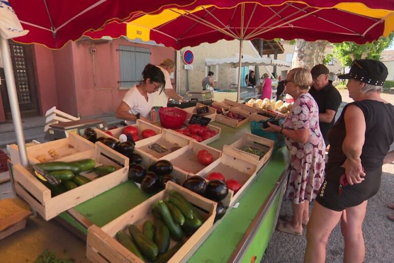 Canicule en Drôme : les habitants luttent pour maintenir la fraîcheur dans leurs maisons.