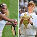 Wimbledon 2026 : hausse du prize money, retour de Serena Williams, absence d&rsquo;Alcaraz