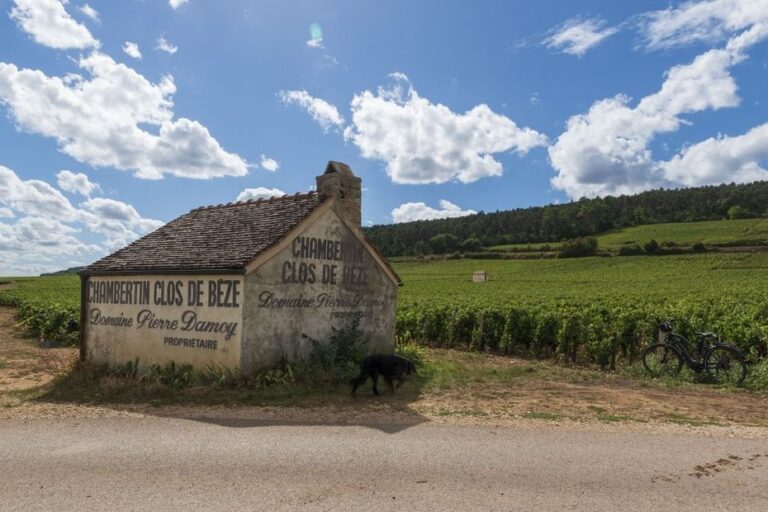 Champagne Roederer freiné dans le rachat d’un domaine à Gevrey-Chambertin