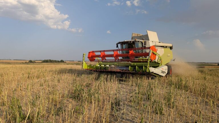 Canicule : les agriculteurs français redoutent les incendies lors de la moisson