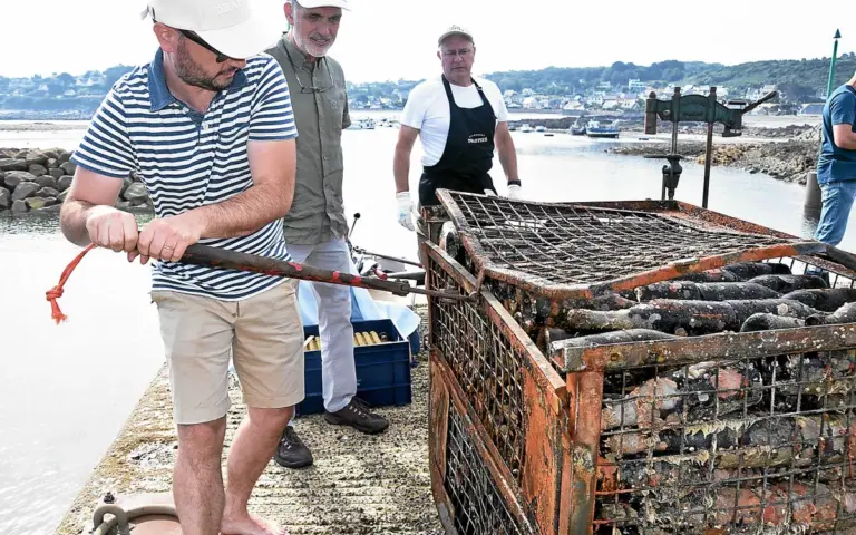Le champagne Drappier réapparaît à Locquémeau après six ans de plongée sous la Manche.