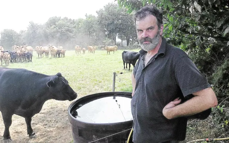 Alerte sur les exploitations agricoles bretonnes : sécheresse annoncée sans pluie pendant 15 jours.