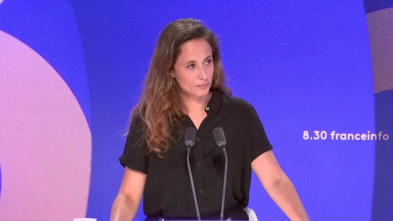 Clémence Guetté critique l’impréparation du gouvernement face à la canicule en France.