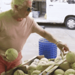 Canicule : le prix du melon augmente en France en raison de la baisse des récoltes