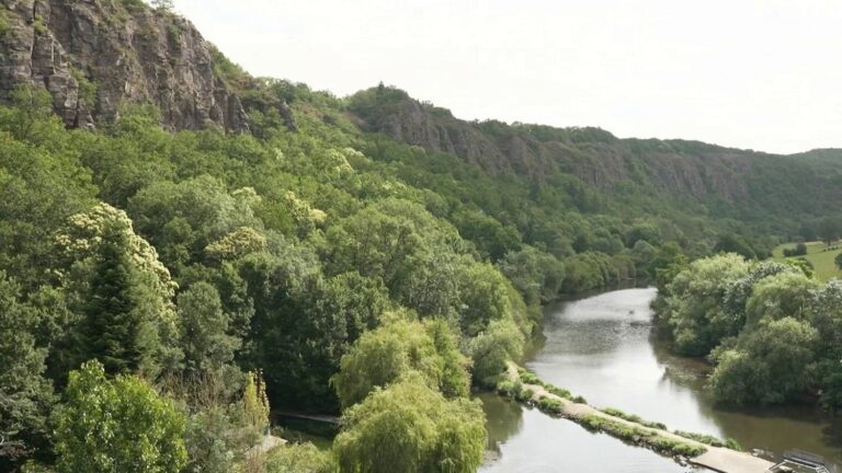 Voyage en Suisse normande : exploration des rivières et des paysages naturels