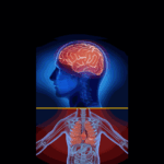 Risques de la chaleur sur le cerveau : études alertent sur la santé cognitive en France