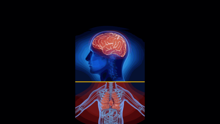 Risques de la chaleur sur le cerveau : études alertent sur la santé cognitive en France