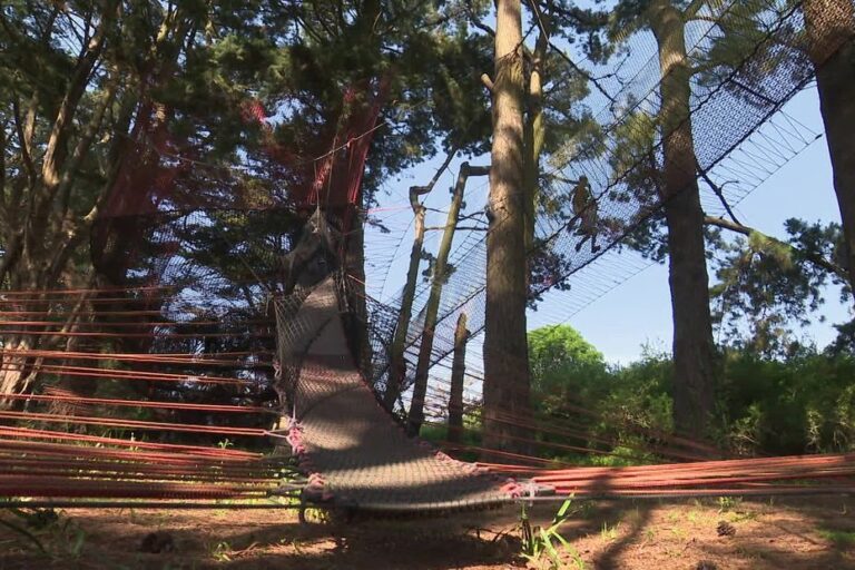 Un parc de loisirs pirate à Groix développe des inventions pour le marché international.