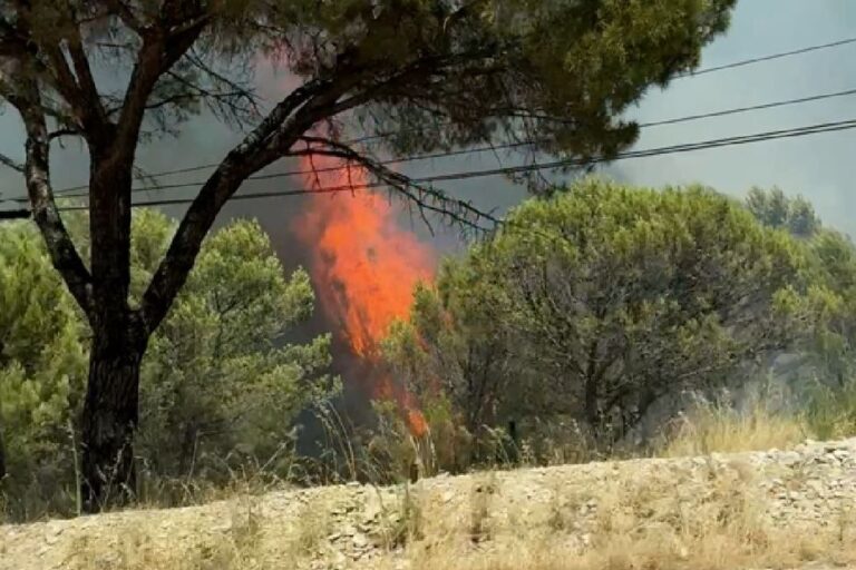 Incendie en cours : 75 sapeurs-pompiers mobilisés face à une canicule et une fumée dense.