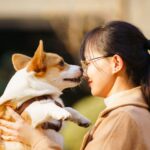 En Chine, des écoles maternelles pour chiens ouvrent leurs portes aux propriétaires.
