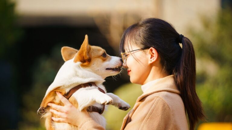 En Chine, des écoles maternelles pour chiens ouvrent leurs portes aux propriétaires.