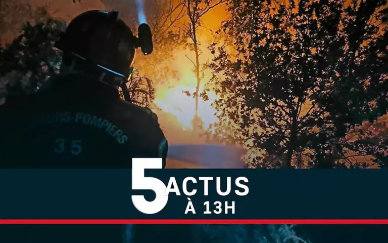 Feu de forêt en Ille-et-Vilaine, zoo de Trégomeur annonce des naissances, Volvic condamnée.
