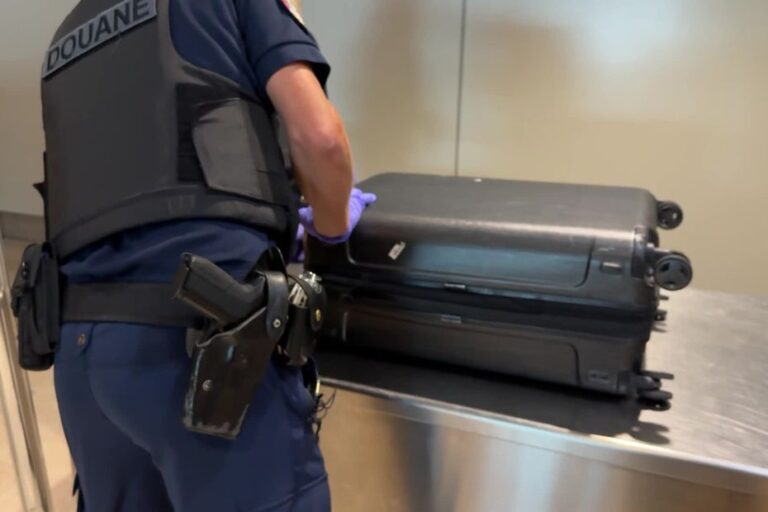 Contrôles renforcés des douaniers dans les aéroports face aux stupéfiants et espèces protégées