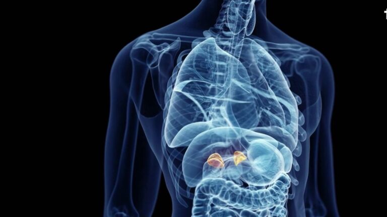 Cortisol : France face à l’augmentation du stress et ses conséquences sur la santé