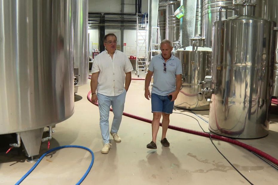Cave coopérative mythique sauvée de la faillite après des licenciements massifs.