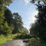 Forêt de Mormal fermée pour 15 jours en raison de violents orages en France.
