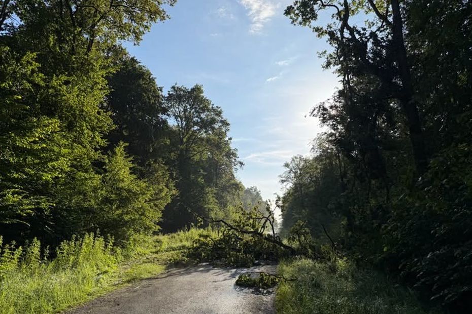 Forêt de Mormal fermée pour 15 jours en raison de violents orages en France.