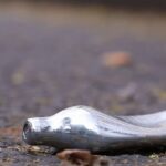 Interdiction du protoxyde d&rsquo;azote : des communes françaises intensifient leur lutte.
