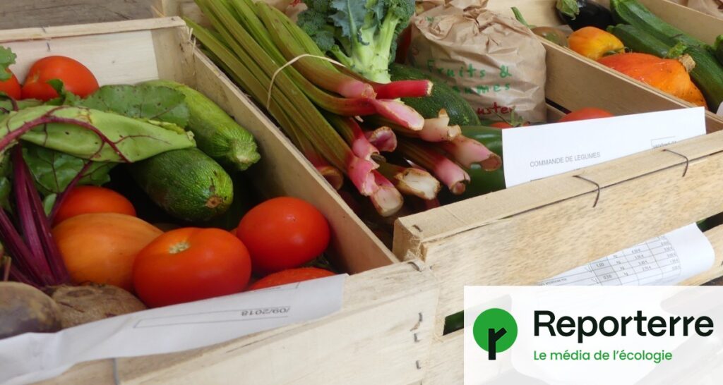 La consommation de produits bio augmente, tandis que le nombre de fermes engagées diminue.