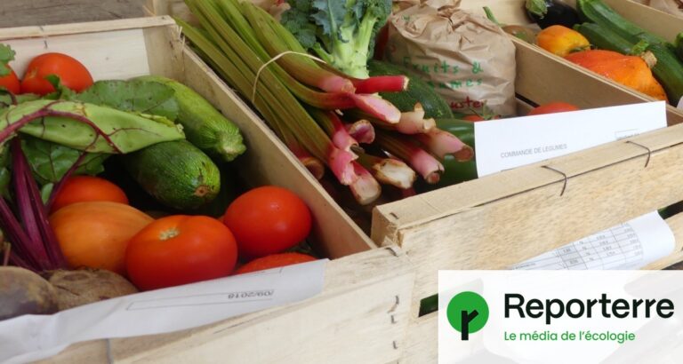 La consommation de produits bio augmente, tandis que le nombre de fermes engagées diminue.