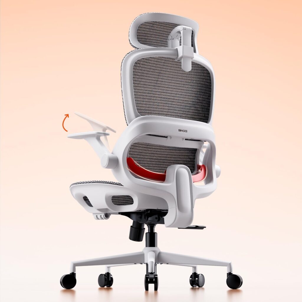 SIHOO B100 : Chaise de bureau ergonomique en maille avec appui lombaire et inclinaison réglable