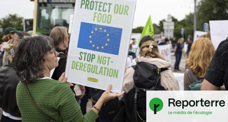 L’Union européenne approuve l’utilisation de nouveaux OGM dans l’agriculture.