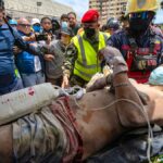 Venezuela : un père et son fils retrouvés après quatre jours sous les décombres du séisme.