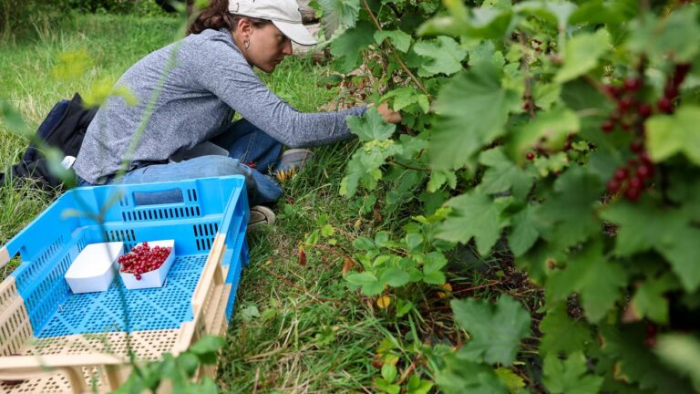 Sorties culturelles et loisirs à Lille : événements et activités de la semaine prochaine