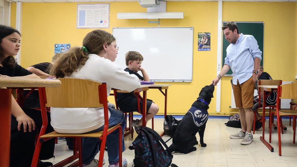 Une femelle labrador soutient le bien-être et la réussite scolaire des élèves en Vendée.