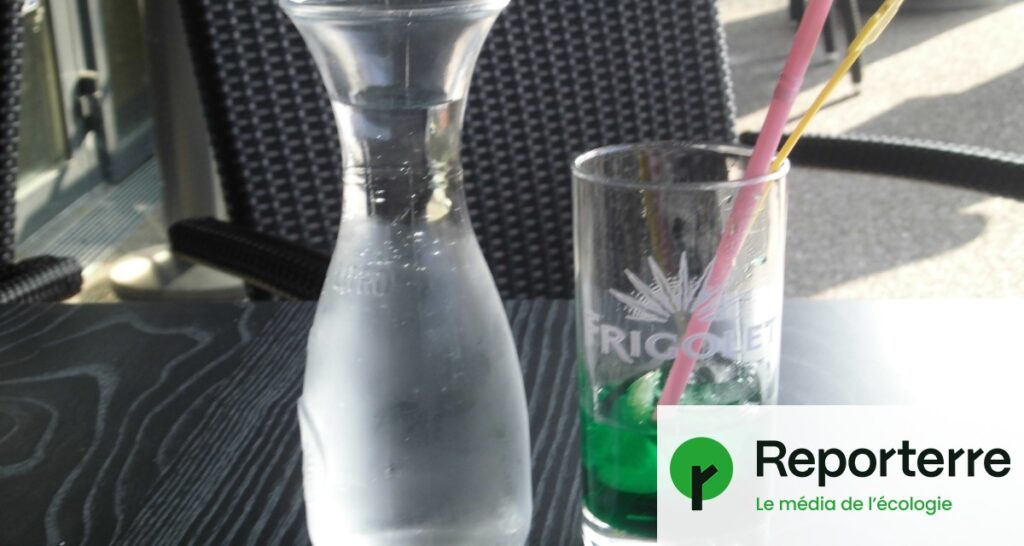 Yuka alerte sur un colorant potentiellement dangereux dans le sirop à la menthe