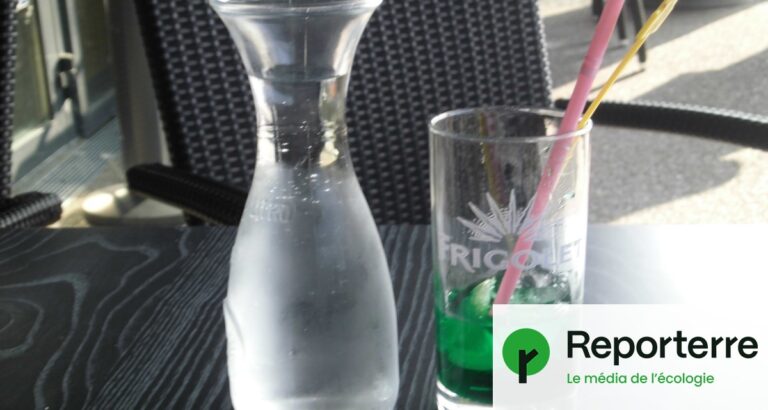 Yuka alerte sur un colorant potentiellement dangereux dans le sirop à la menthe