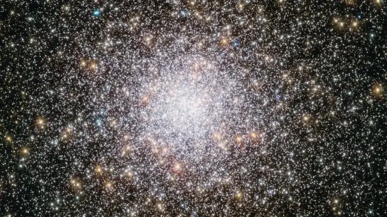 Le télescope James Webb photographie des étoiles colossales jamais observées auparavant.