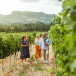 L&rsquo;œnotourisme en France : effets mesurables sur la production viticole et les revenus locaux.