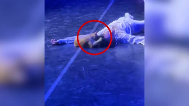 Un invité inattendu interrompt un ballet en Turquie, provoquant la surprise du public.