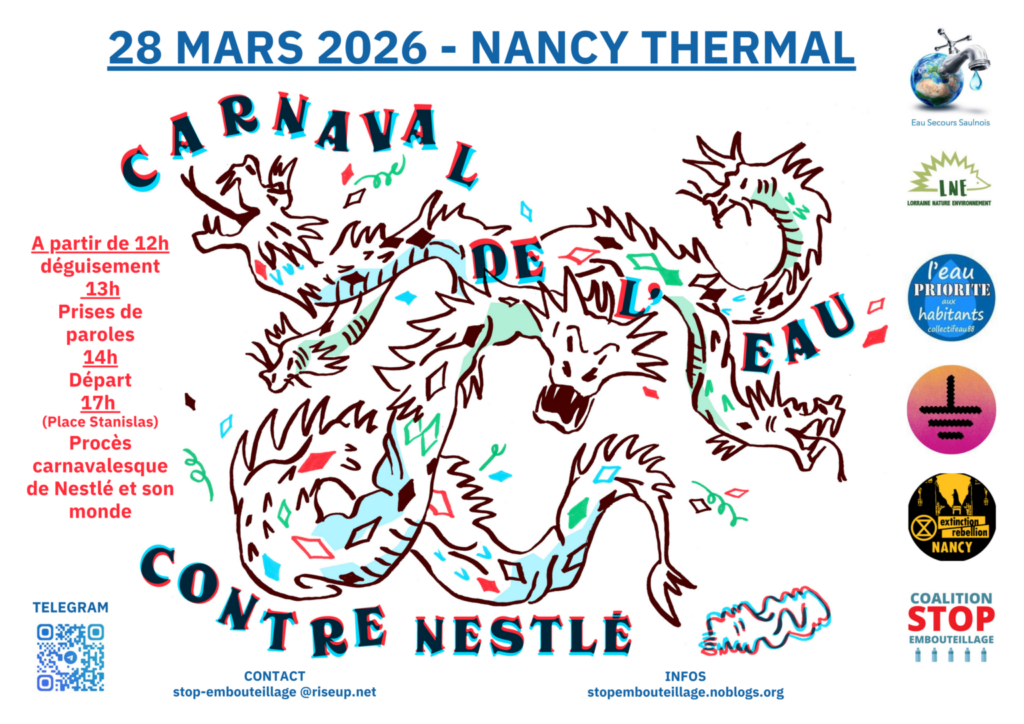 Mobilisation pour l’Eau : Carnaval à Nancy attire des participants et des préoccupations environnementales.