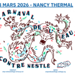 Mobilisation pour l’Eau : Carnaval à Nancy attire des participants et des préoccupations environnementales.
