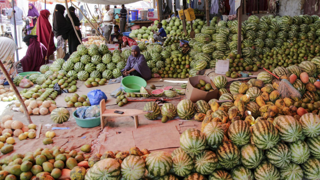 Femmes cheffes d’entreprises en Somalie : transformation des normes traditionnelles.