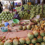 Femmes cheffes d&rsquo;entreprises en Somalie : transformation des normes traditionnelles.