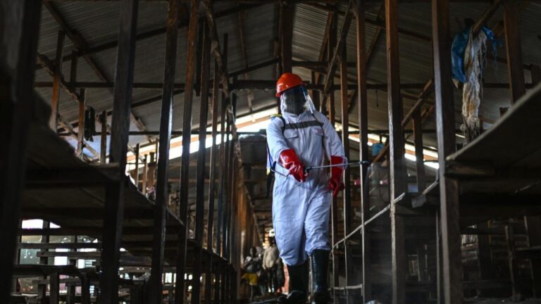 Ebola en RDC : les mesures de lutte affectent les commerçants à Bunia.