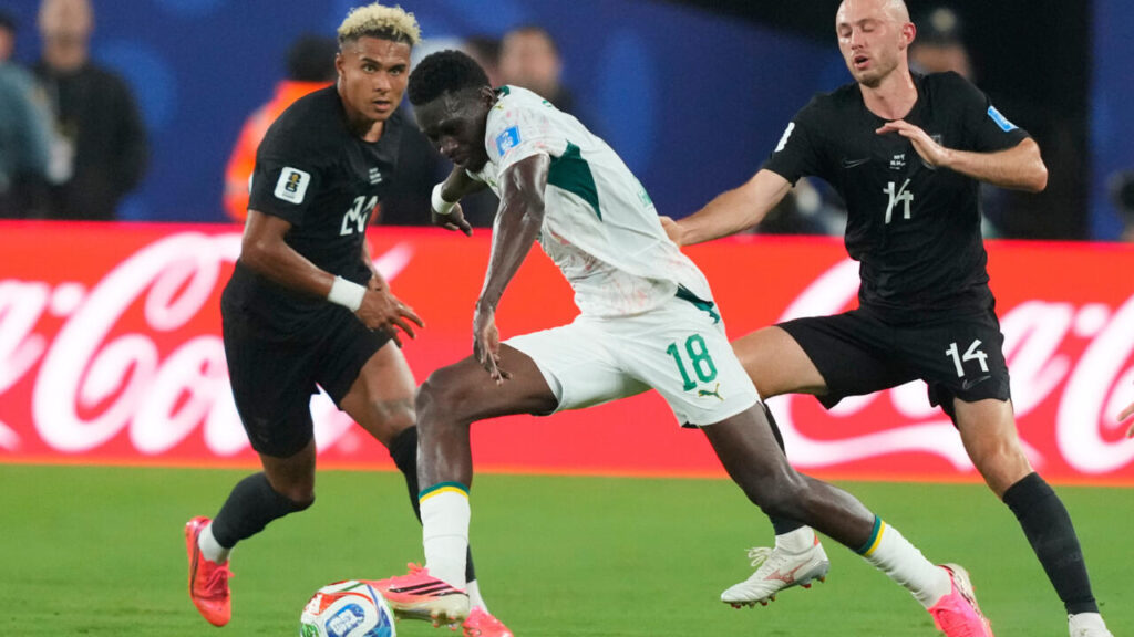 Pape Thiaw doit assumer ses responsabilités après la défaite de la Sénégal face à la Norvège