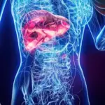 Le CHU de Nice intensifie ses efforts contre les maladies rares du foie.