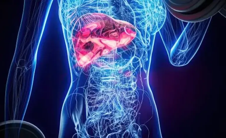 Le CHU de Nice intensifie ses efforts contre les maladies rares du foie.
