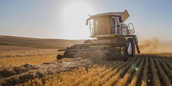 Concours des lycées agricoles 2026-2027 : les modalités et dates annoncées par le ministère de l’Agriculture.