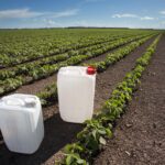 Trafic de pesticides interdits : six agriculteurs et leur fournisseur condamnés en France