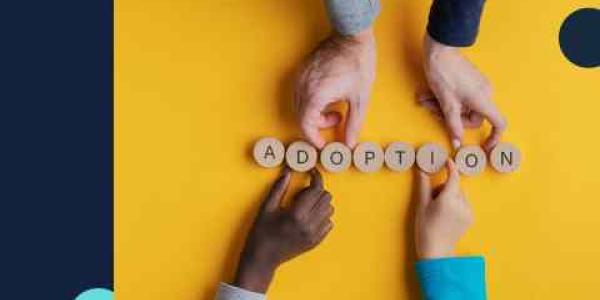 Adoption : l’attestation d’honorabilité devient obligatoire pour les candidats en France