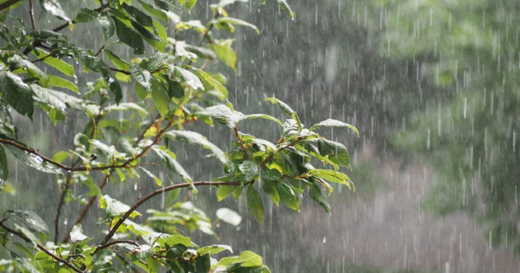 Alerte météo en Algérie : pluies orageuses prévues dans 10 wilayas à partir de 15h00.