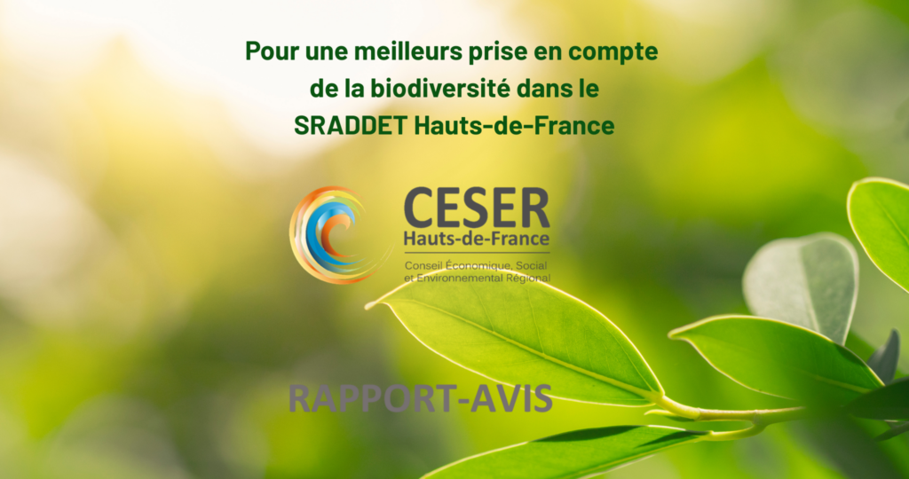 Biodiversité : le CESER appelle à une meilleure intégration dans le SRADDET Hauts-de-France.