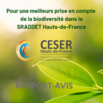 Biodiversité : le CESER appelle à une meilleure intégration dans le SRADDET Hauts-de-France.