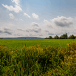 L&rsquo;air à la campagne présente une meilleure qualité que dans les zones urbaines en France.