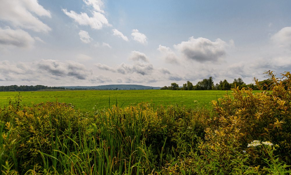 L’air à la campagne présente une meilleure qualité que dans les zones urbaines en France.